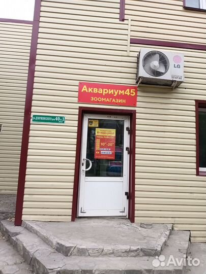 Аквариумные рыбки