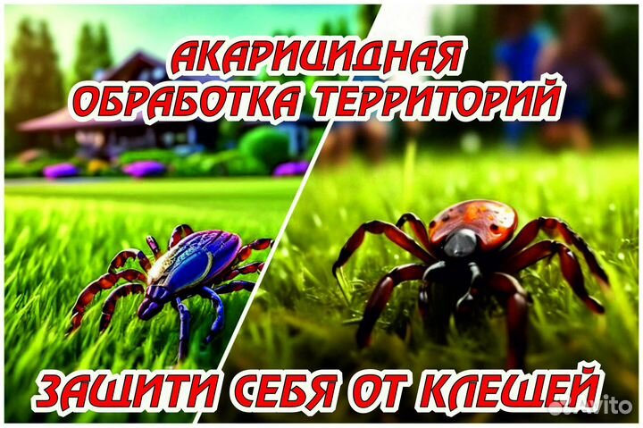 Противо клещевая обработка территорий