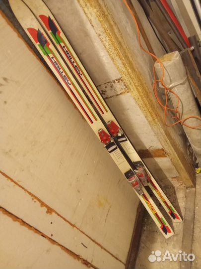 Горные лыжи