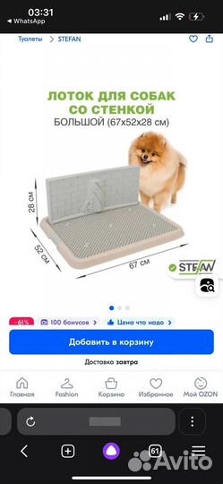 Туалет лоток для собак со стенкой под пеленку