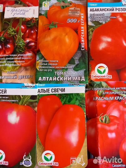 Рассада томатов, перцев и баклажан