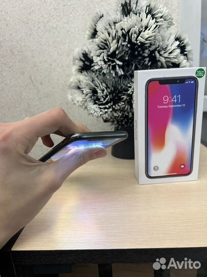 iPhone X, 256 ГБ