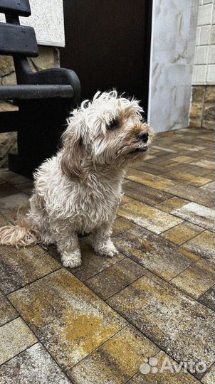 Тротуарная плитка Пропресс от 120 м2