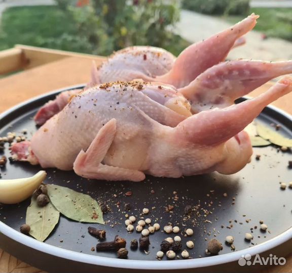 Мясо перепелов, копчёные перепела, мясные изделия