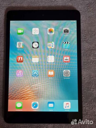 iPad