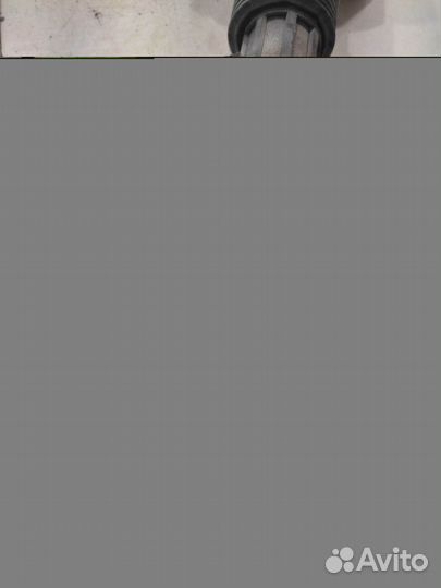 Амортизатор (задний, левый) (Haval F7)