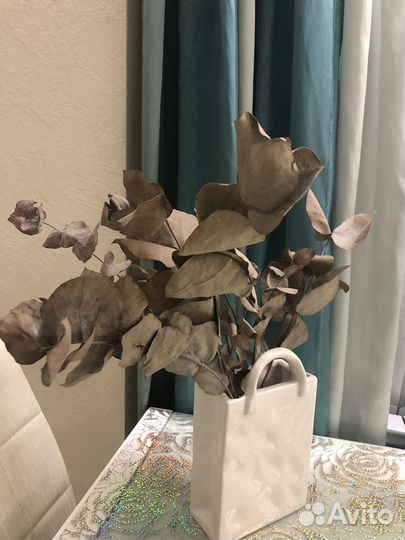 Сухоцветы эвкалипт