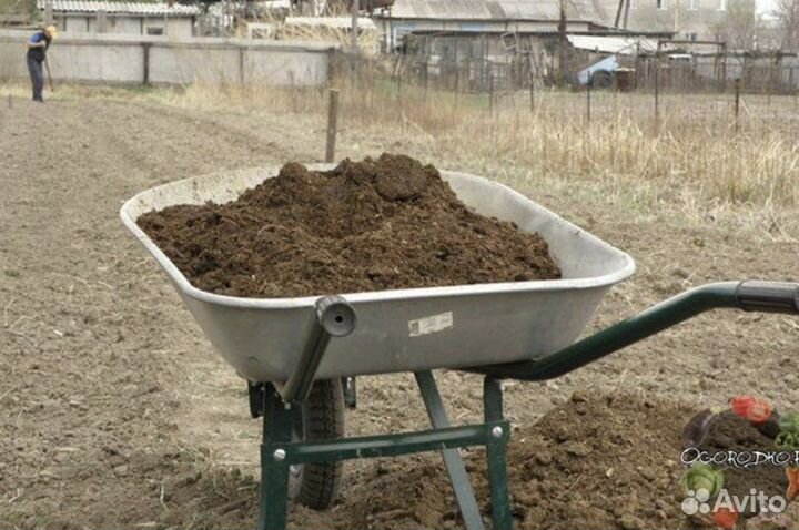 Помет куриный навоз куриный