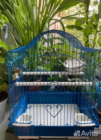 Клетка для птички