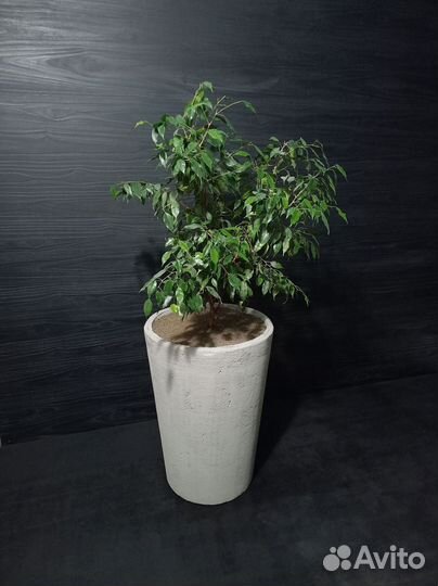 Горшки, Вазоны, Кашпо под заказ из бетона