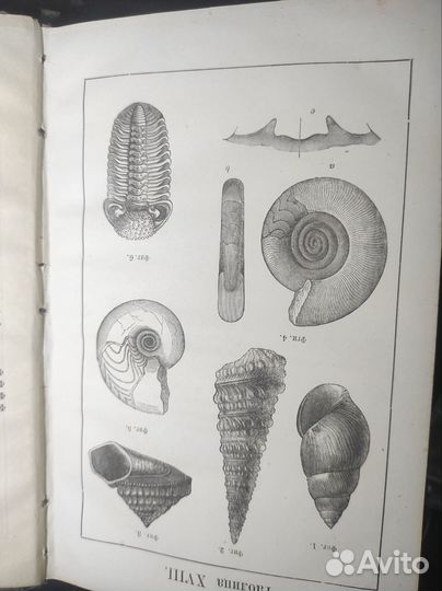 Г. Креднеръ Руководство к геологии 1875 г