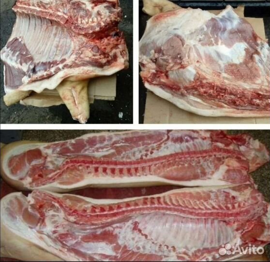 Продам мясо свинина