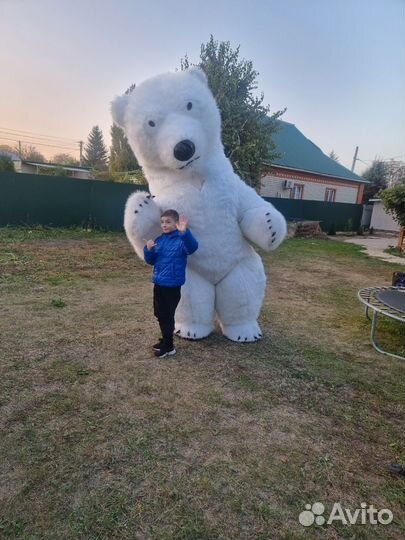 Белый мишка поздравление ростовой медведь аниматор