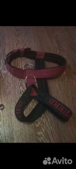 Шлейка для собак