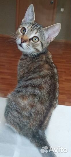 Малышка очень ласковая