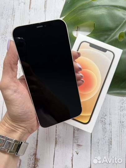 iPhone 12 128 GB б/у