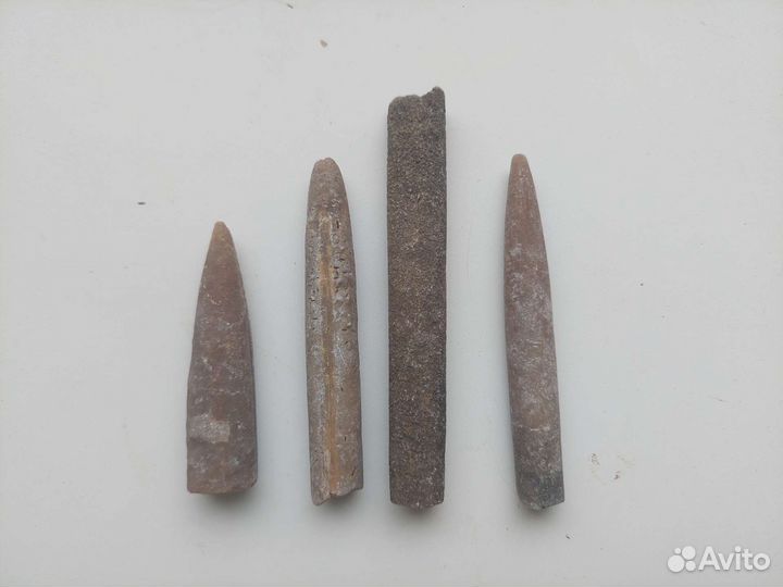 Белемниты чертовы пальцы 4 шт