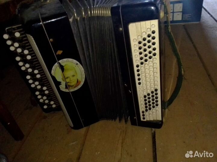 Баяны Восток и Мелодия