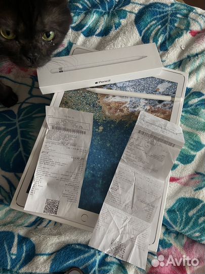 iPad pro 12.9 2017 256 гб + pencil