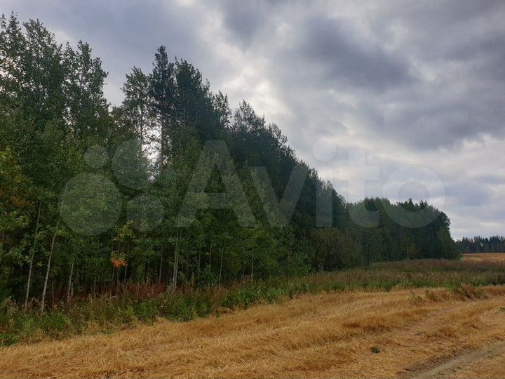 Участок 63,16 га (СНТ, ДНП)