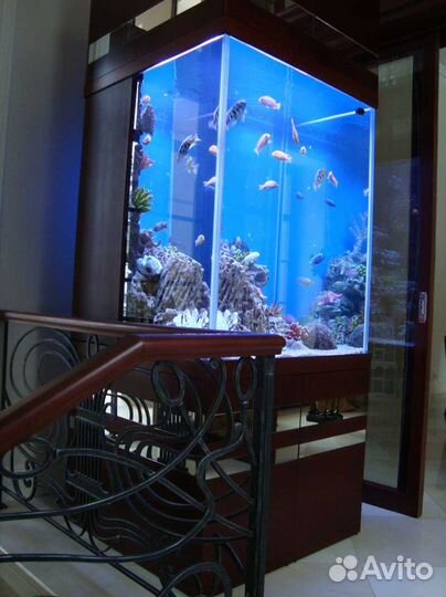 Обслуживание аквариумов морских и пресноводных