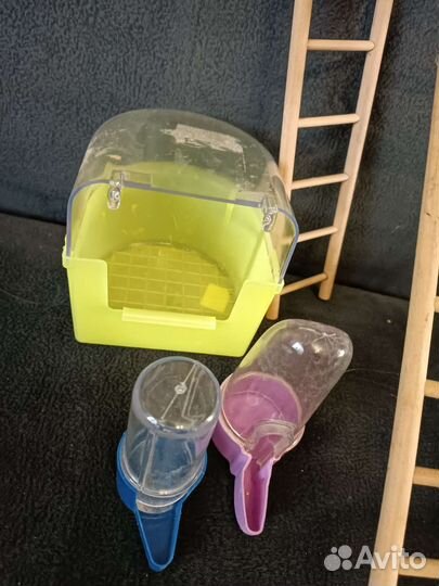 Товары и игрушки для птиц