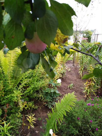 Дом 17 м² на участке 5 сот.