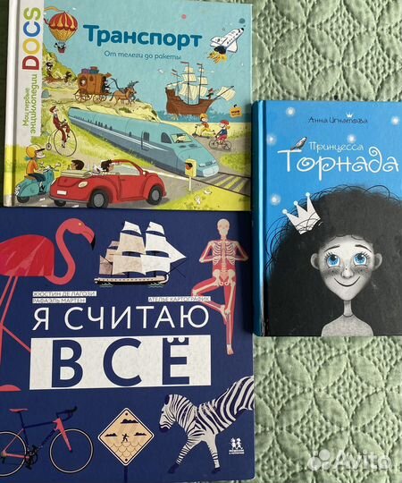 Принцесса Торнада Анна Игнатова