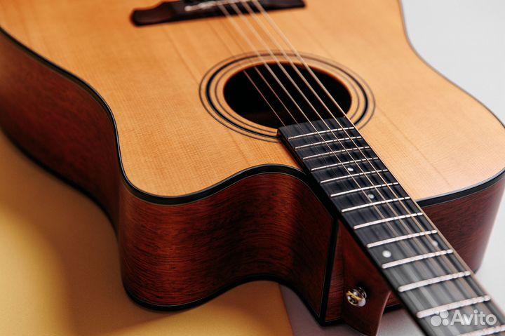 Акустическая гитара Tasyte TS 62 D Массив