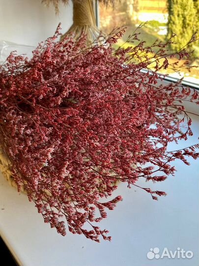 Кермек стабилизированный в ассортимерте