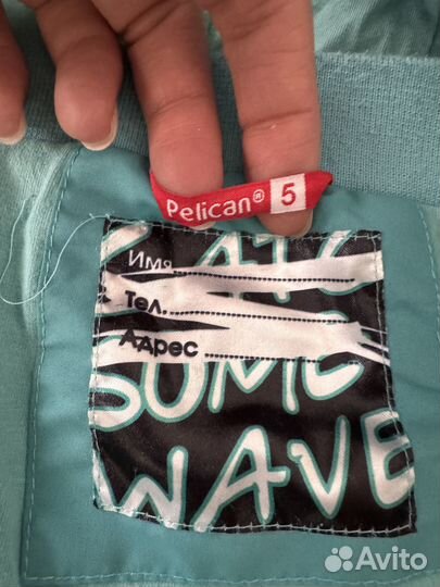 Куртка ветровка для мальчика Pelican 110