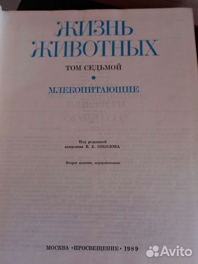 Энциклопедия 