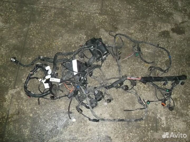 Электропроводка моторного отсека (Kia Rio)