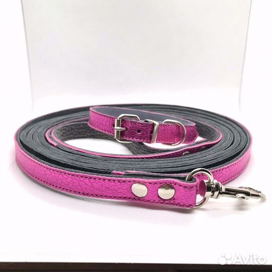 Ошейник для собак