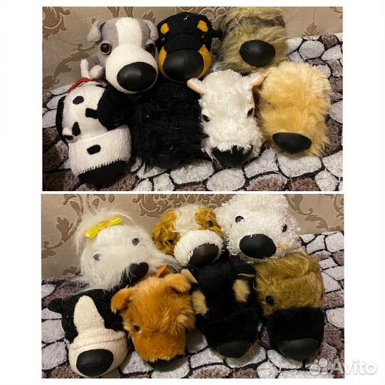 The dog and cat collection