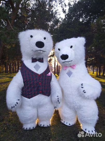 Мишка Потапыч для поздравления