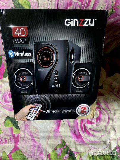 Колонки ginzzu