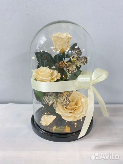 Подарок девушке на день рождения