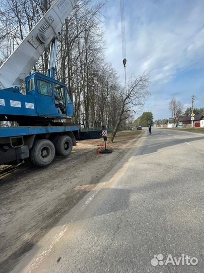 Спил аварийных деревьев