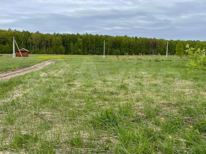 Участок 10 сот. (ИЖС)