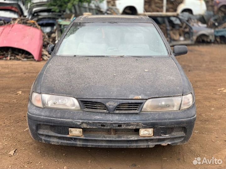 В разбор Nissan Almera N15 купе