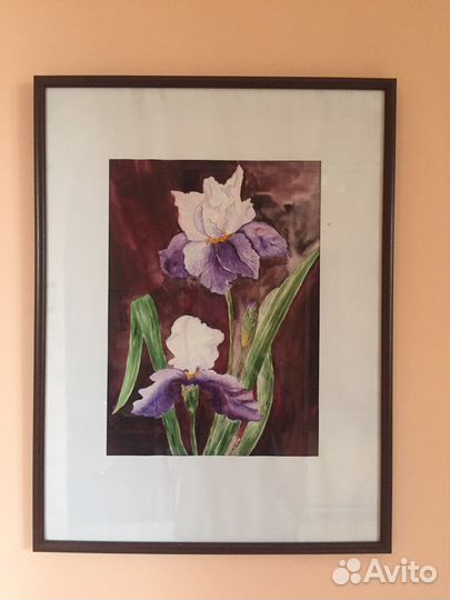 Картина акварель Ирисы