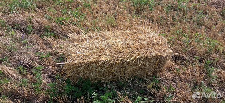 Солома в тюках