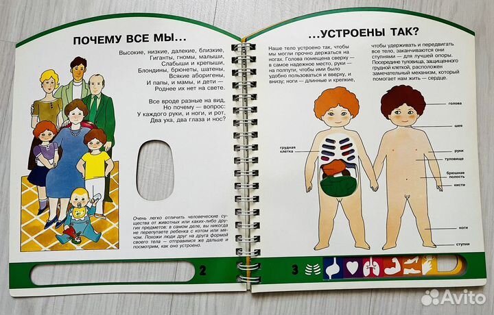 Человек, окошки в твой мир