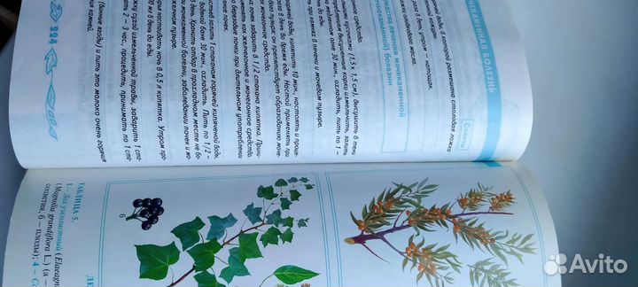 Книга Большая энциклопедия народной медицины