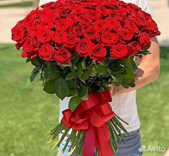 Высокие розы Гигантские розы 110