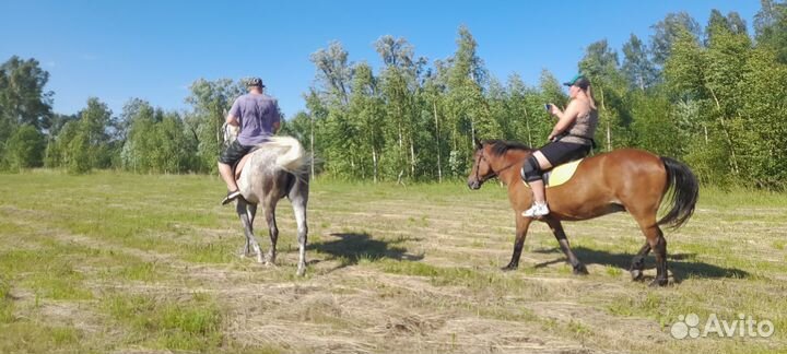 Конные прогулка и фотосесия