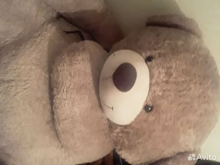 Большие плюшевые медведи