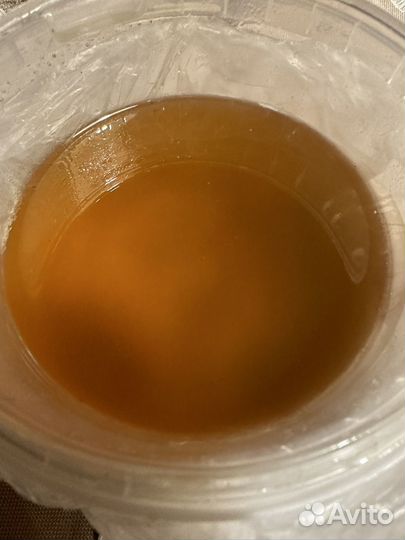 Мёд август 2024