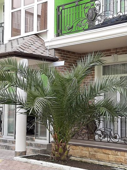 3-к. апартаменты, 53,4 м², 4/5 эт.